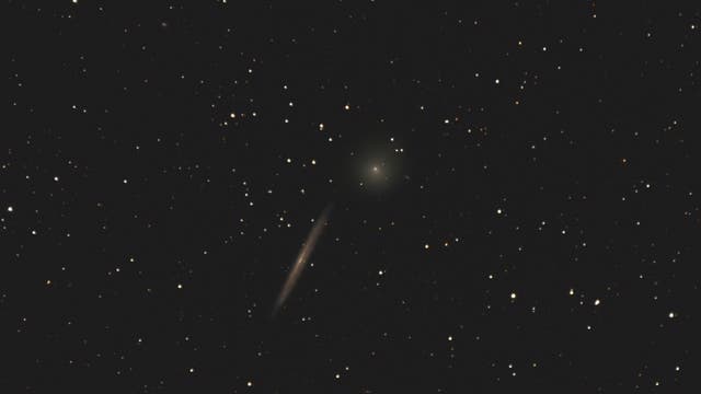 Komet Lovejoy trifft NGC 5907