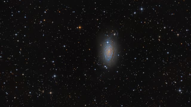 M63 - Sonnenblumengalaxie