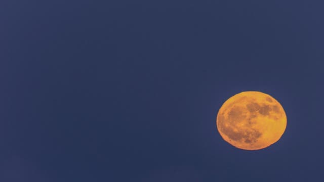 Buck Moon