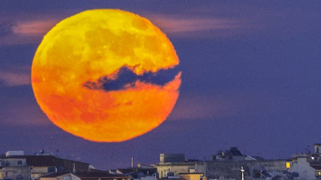Supermoon rising