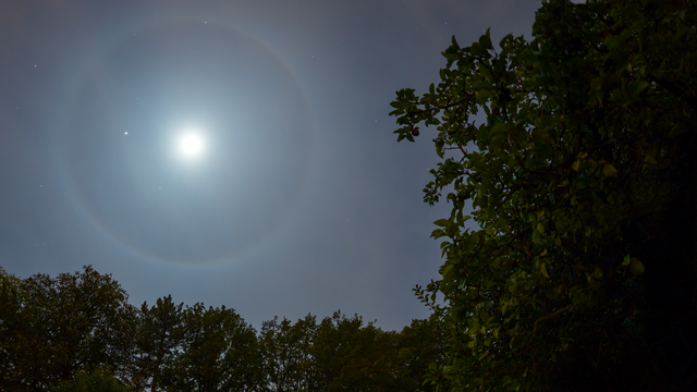 22-Grad-Ring um Mond und Jupiter