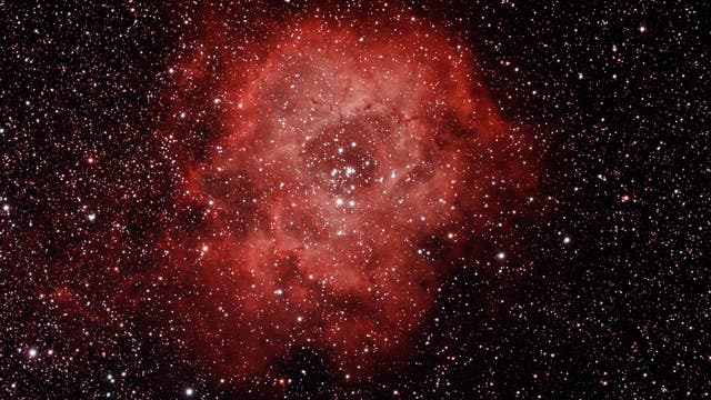 Der Rosettennebel NGC 2244
