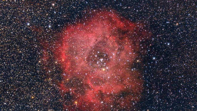 Rosettennebel NGC 2244