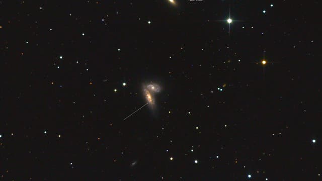 Supernova  in NGC 4568