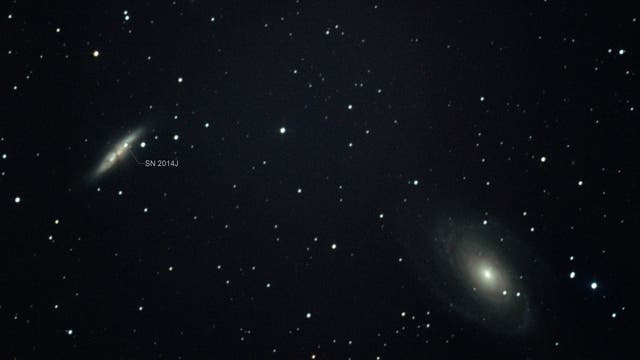 SN 2014J M 81 und M 82