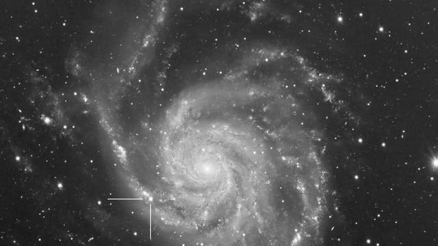 SN 2023ixf in M101