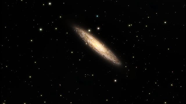 Die »Silbermünzen-Galaxie« NGC 253 (Scl) - in atmosphärisch bedingter Verfärbung