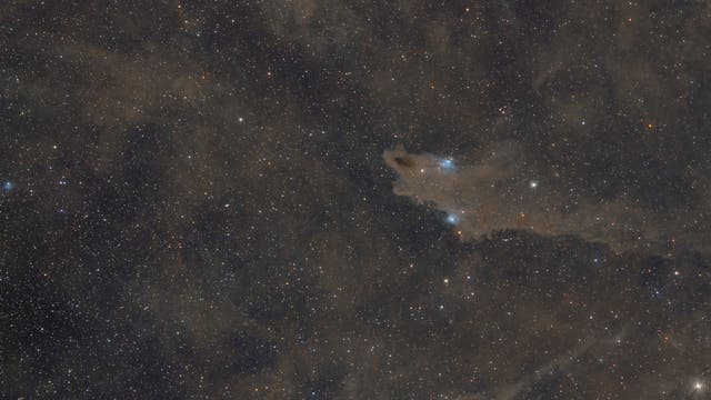 Dunkelnebel im Kepheus