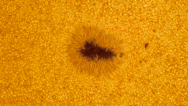 Weiteres Sonnenfleckenbild vom 19. Mai 2024