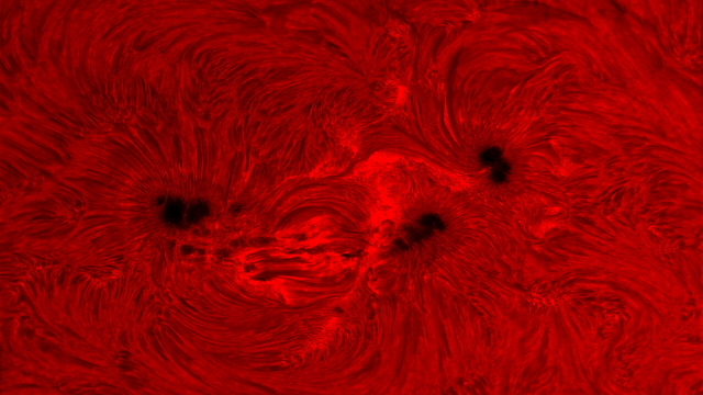 Sonnenfleckengruppe 3712 in H-alpha