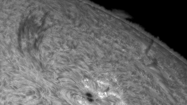 Sonne in H-alpha 13. April 2024