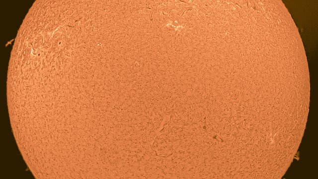 Sonne - schöne Protuberanzen