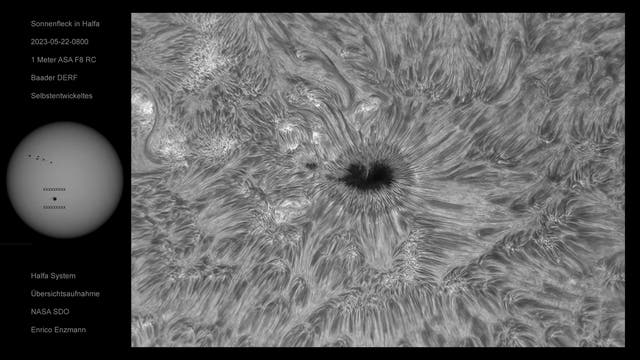 Detailreicher Sonnenfleck in H-Alpha vom 22. Mai 2023
