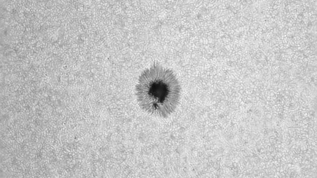 Sonnenfleck AR3074 am 9. August 2022