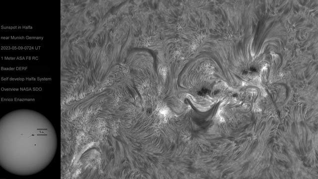 Sonnenfleck in H-Alpha am 9. Mai 2023