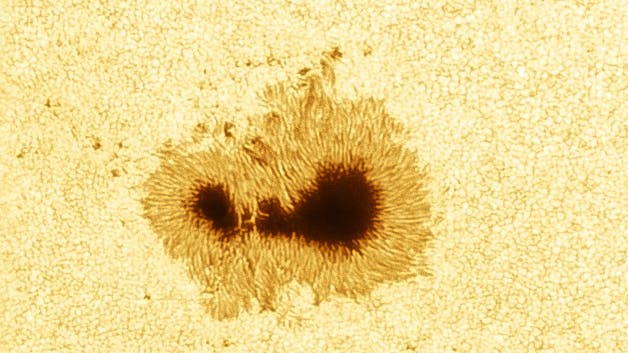 Sonnenfleck 13363 mit Solar Continuum Filter