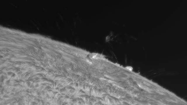 Sonnenrand in H-alpha 13. April 2024