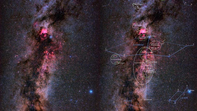 Sternenflug des Schwans entlang der galaktischen Nebel unserer Milchstraße
