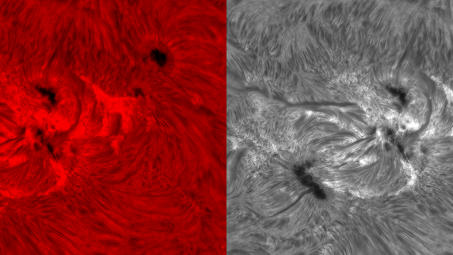 Sonnenoberfläche in H-alpha zweifarbig 29. April 2024