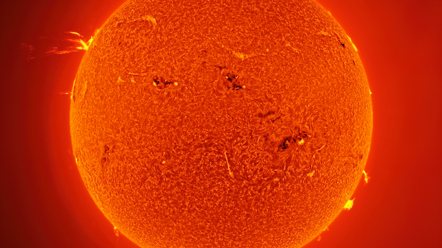 Spectacular prominence on the Sun