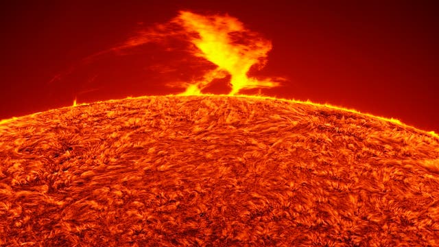 Large solar prominence