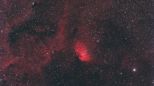 Tulpennebel mit Cygnus X1 im Sternbild Schwan