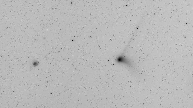 Komet C/2013 US10 (Catalina)