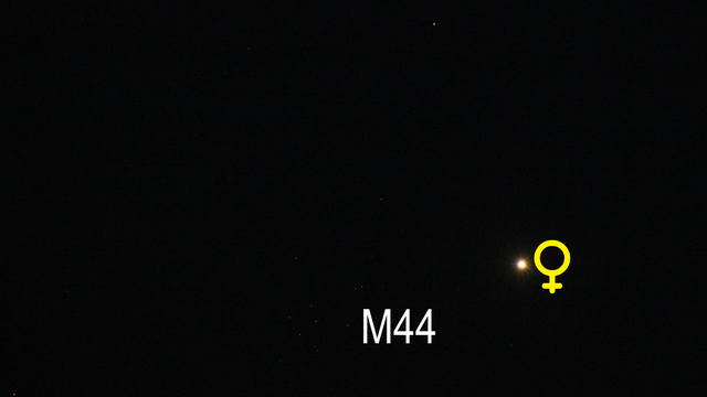 Venus nähert sich M44 (Objekte beschriftet)