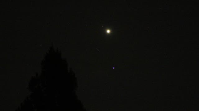 Venus und Regulus