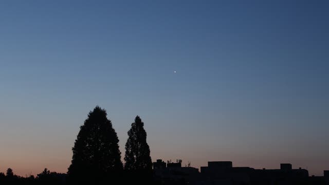 Venus am Morgenhimmel