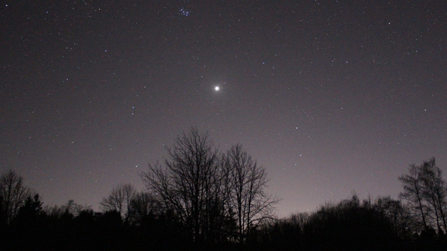 Venus am Abendhimmel - 1