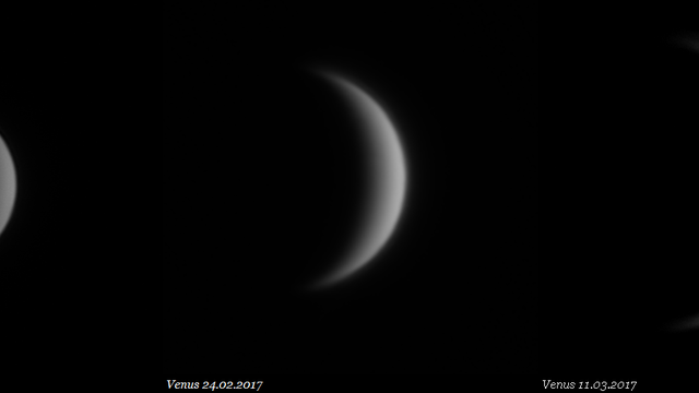 Venus 2017