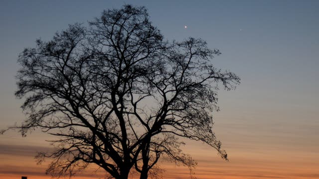 Venus und Merkur am Abendhimmel
