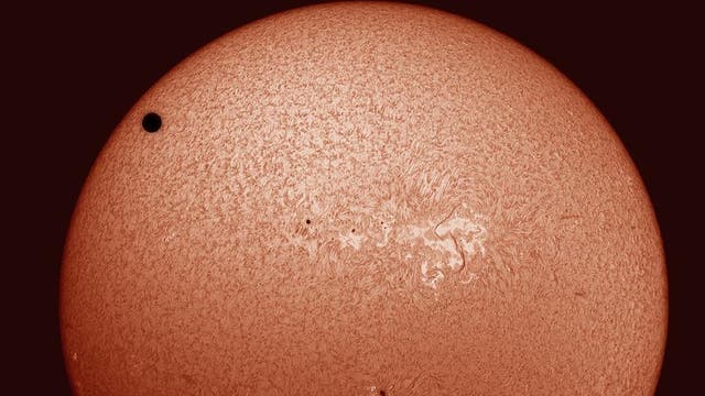 Venus vor H-alpha-Sonne