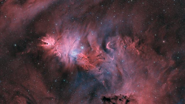 NGC 2264 Weihnachtsbaum-Cluster