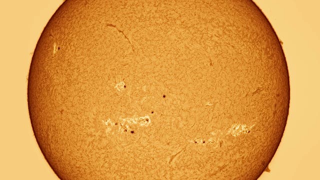 Gesamtübersicht der Sonne in H-alpha vom 28. Juli 2024