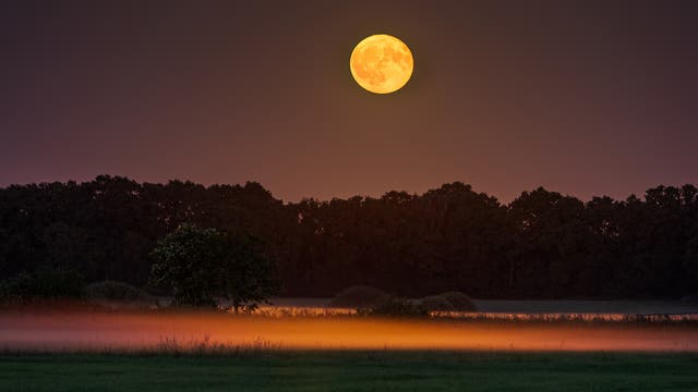 Vollmond-Aufgang am 12. Juni 2025