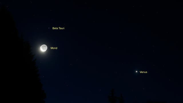 Mond und Venus im Sternbild Stier (2)