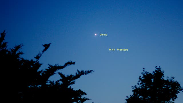 Venus und Mars am 14. Juni 2023