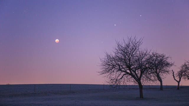 Mondfinsternis 21. Januar 2019 mit Bäumen in Dämmerung
