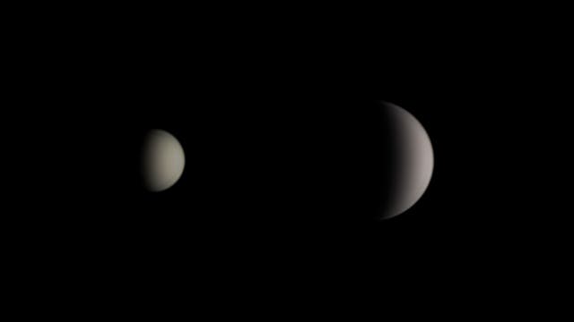 Die Venus zwischen November 2019 und Mai 2020