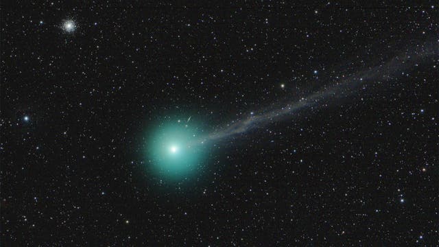 Comet Lovejoy und M 79