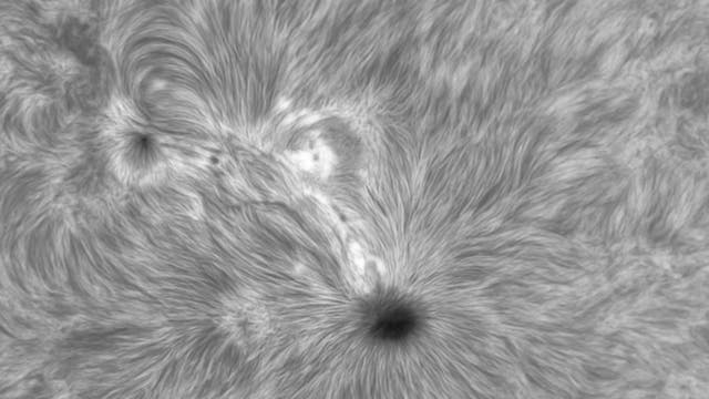 Sonnenflecken in H-Alpha