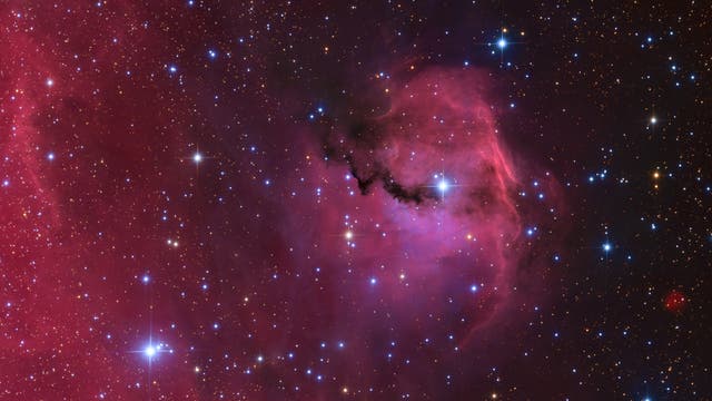 IC 2177 - der farbenprächtige Kopf des 'Möwennebel'