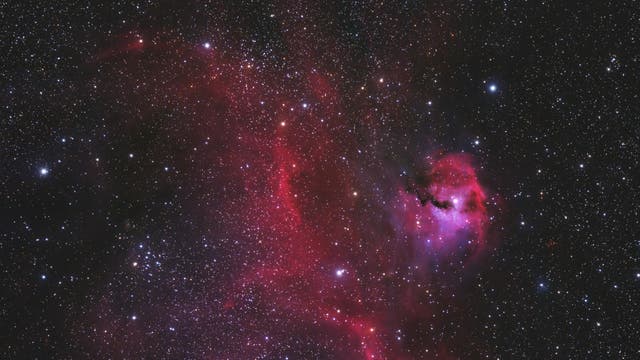 IC 2177 - Kopf der Möwe