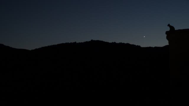 Venus über klarem Abendhorizont