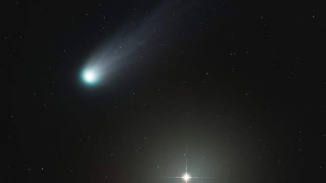 Komet 12P/Pons-Brooks mit Stern Hamal