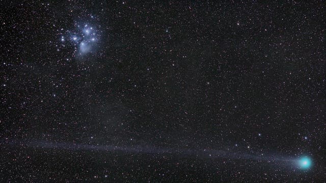 Komet C/2014 Q2 Lovejoy besucht die Plejaden