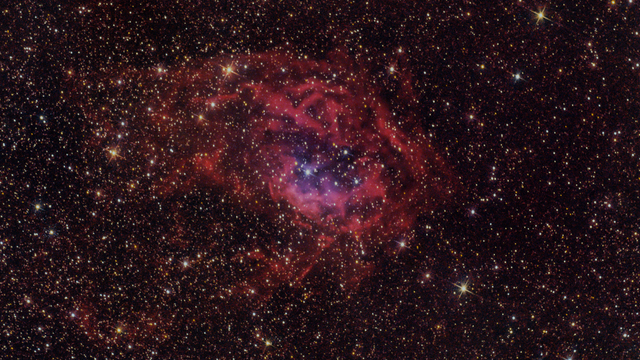 Lowers Nebula, Sh2-261