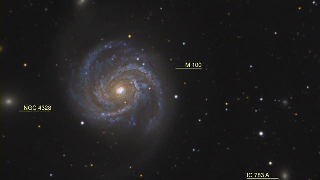 Messier 100 im Haar der Berenike - 2